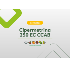 CIPERMETRINA 250 EC CCAB 4 X 5L